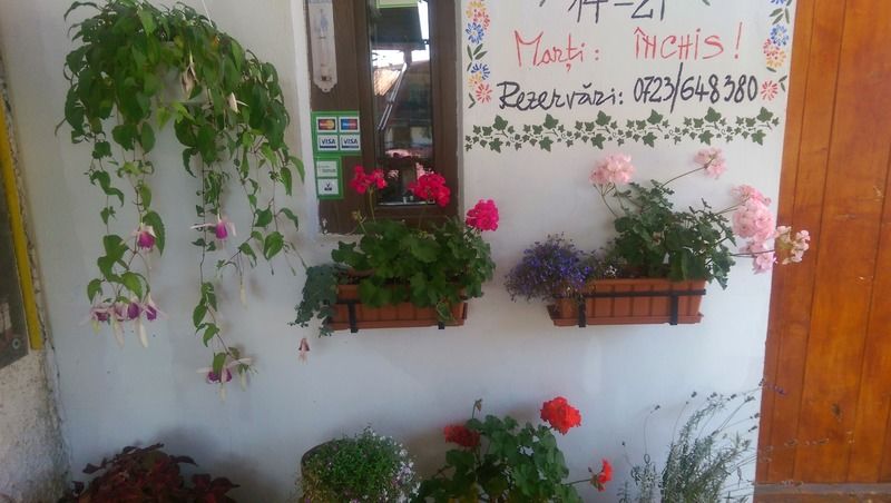 Bistro-Pension La Teleferic ซินายา ภายนอก รูปภาพ