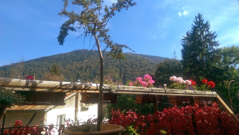 Bistro-Pension La Teleferic ซินายา ภายนอก รูปภาพ