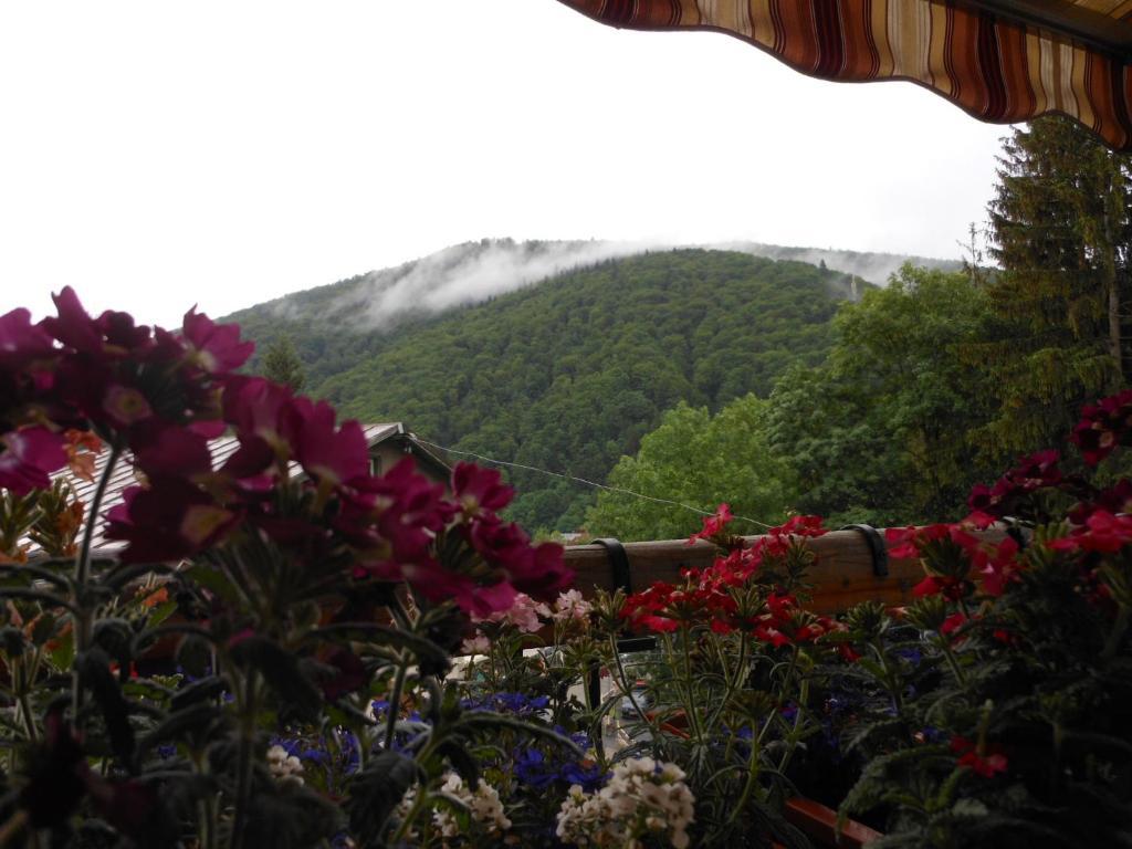 Bistro-Pension La Teleferic ซินายา ภายนอก รูปภาพ